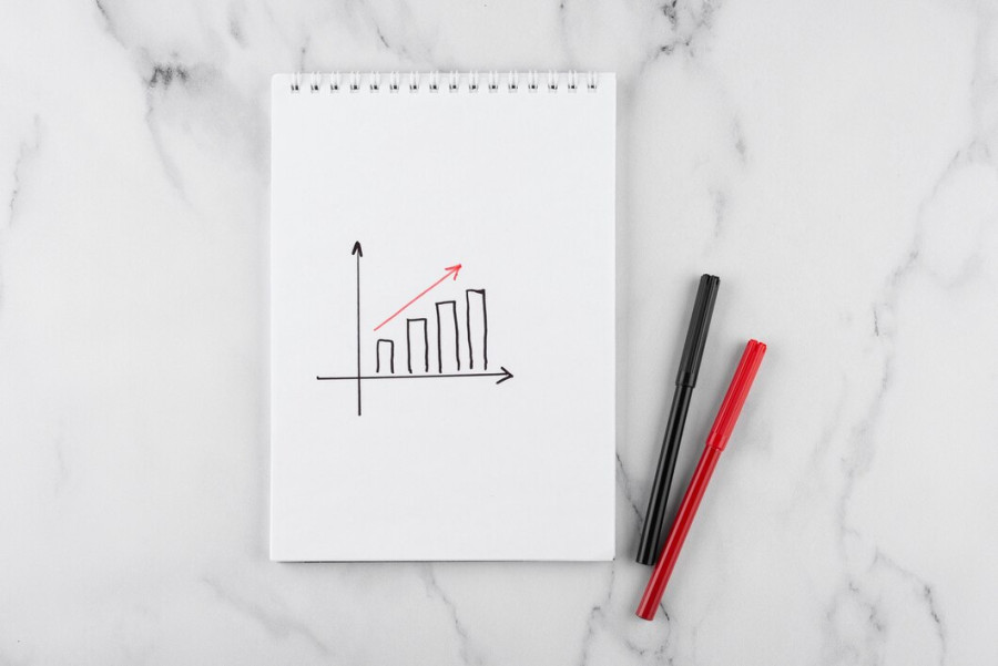 Održavanje web stranice - rast